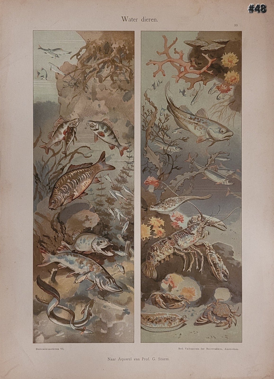 Antieke chromolitho's vademecum der bouwvakken per stuk! #3, Antiek en Kunst, Origineel, Verzenden, Overige onderwerpen, Lithografie