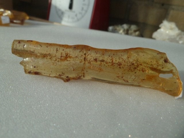 Copal (jonge Barnsteen) met insluitingen (05), Ophalen of Verzenden, Fossiel