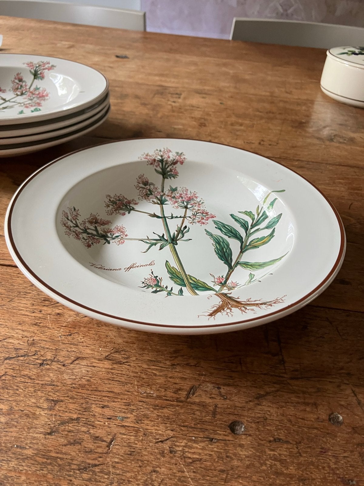 5x Diepe borden Botanica Villeroy & Boch, Ophalen, Gebruikt, Bord(en), Porselein