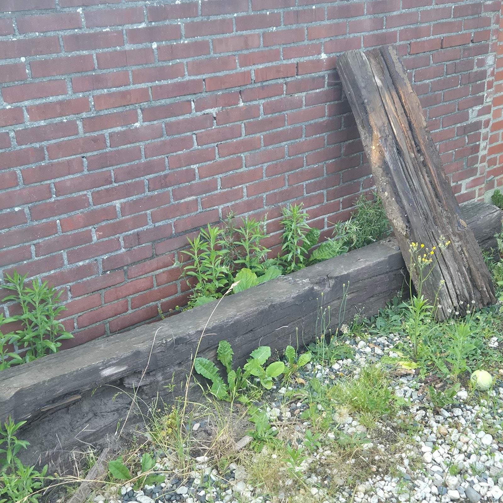Gratis oude houten balken - Ideaal voor decoratie of tuin, Doe-het-zelf en Verbouw, Hout en Planken, Geïmpregneerd, Gebruikt, Ophalen of Verzenden
