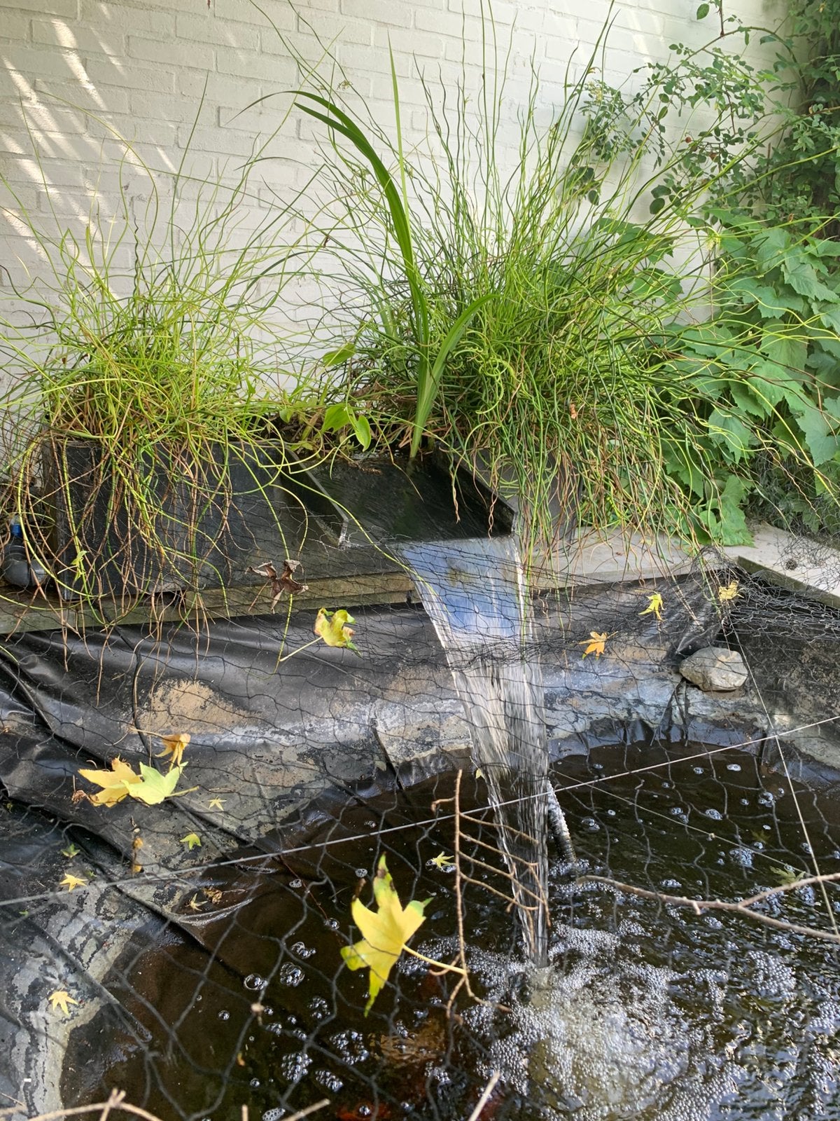 Plantenfilter met waterval en toebehoren, Aqua Sense, Tuin en Terras, Vijvers, Ophalen, Gebruikt