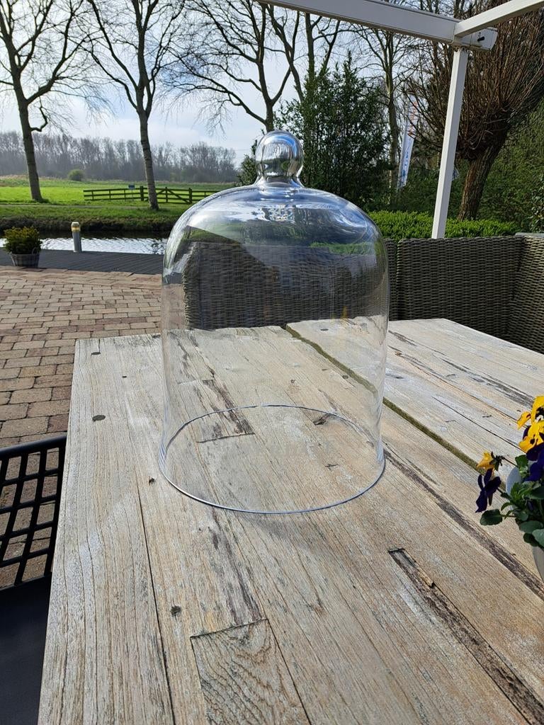 Riverdale glazen stolp - 30 cm doorsnee, 40 cm hoog, Huis en Inrichting, Woonaccessoires | Stolpen, Ophalen, Zo goed als nieuw