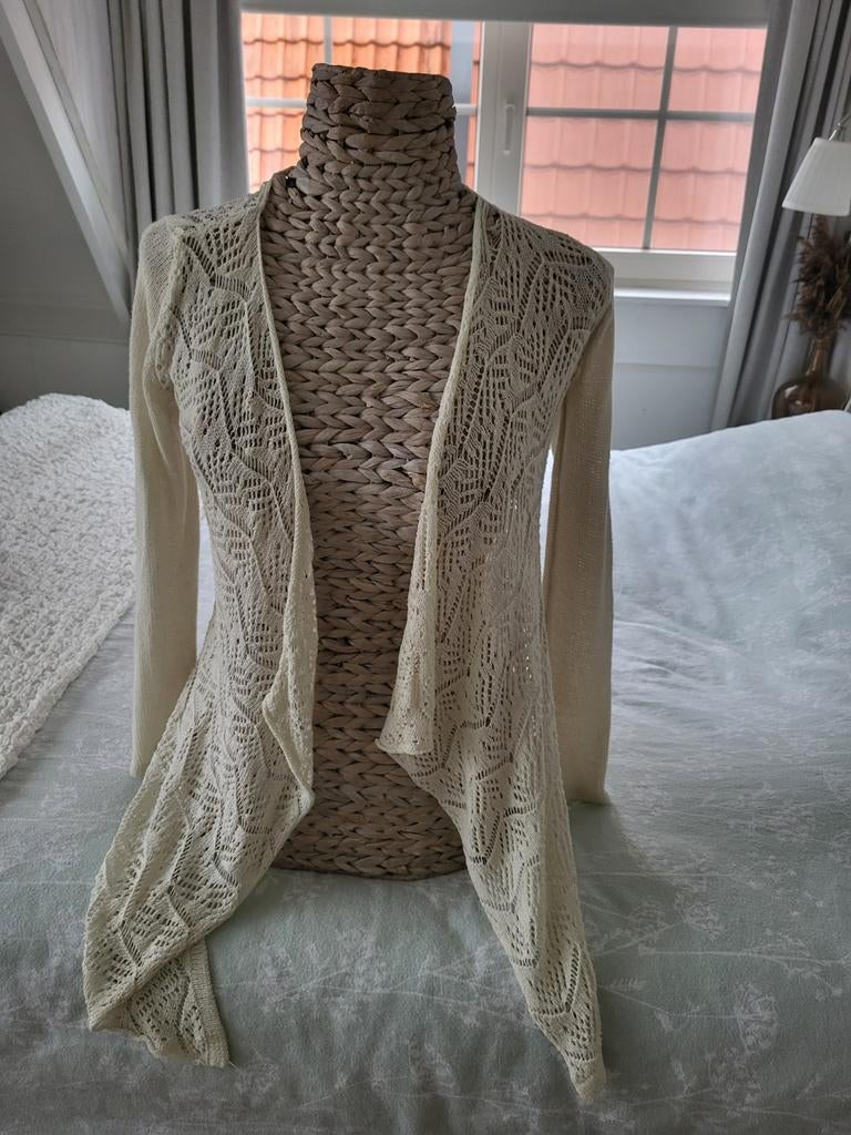 Lief vestje maat m, Kleding | Dames, Maat 38/40 (M), Cassuci, Wit, Ophalen of Verzenden