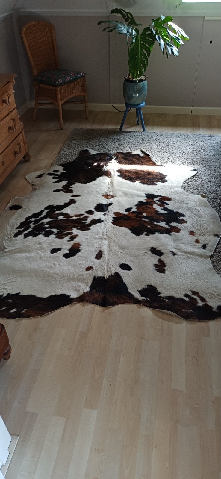 Koeienhuid als vloerkleed (196165), Gebruikt, 150 tot 200 cm, Ophalen of Verzenden, 150 tot 200 cm