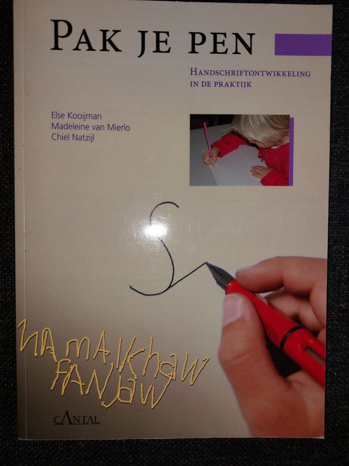 Pak Je Pen - Handschriftontwikkeling in de praktijk, Boeken, Ophalen of Verzenden, Zo goed als nieuw, Overige niveaus, Else Kooijman, Madeleine van Mierlo, Chiel Natzijl