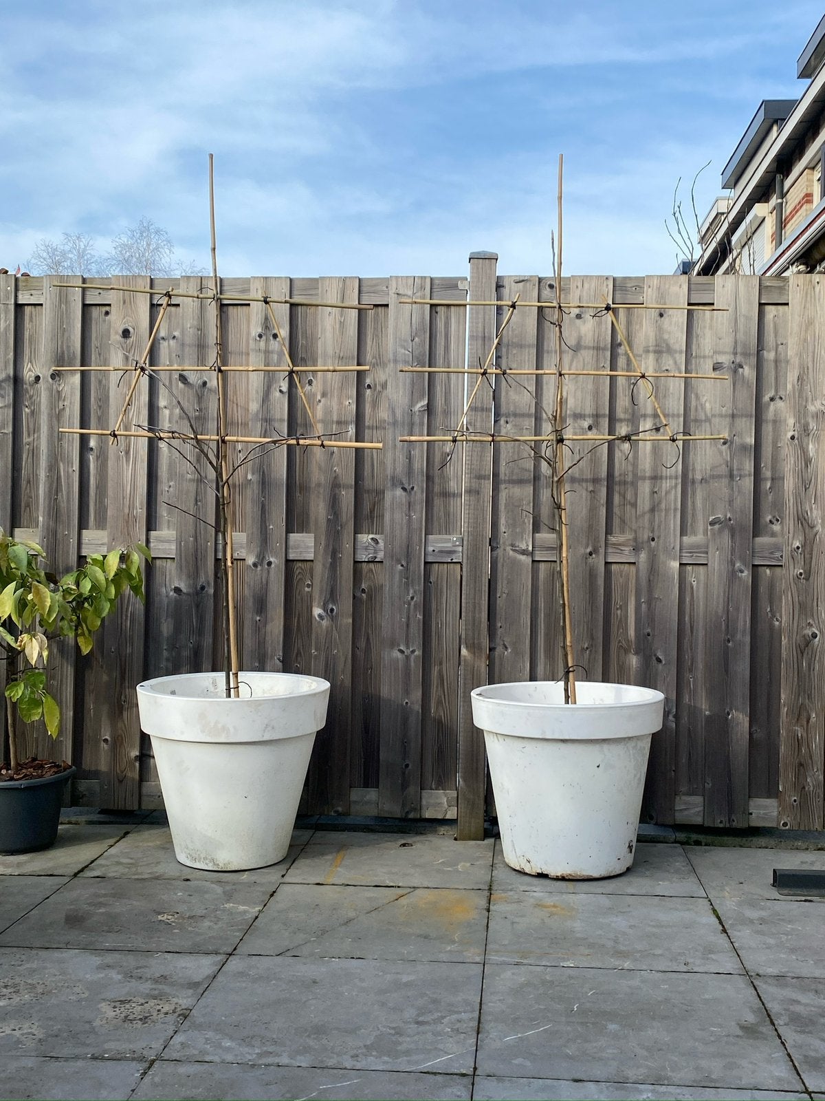 2 stuks - XXL Bloempot/Plantenbak Kunststof Wit - 52x58cm, Tuin en Terras, Ophalen, Kunststof, 40 cm of meer, Rond