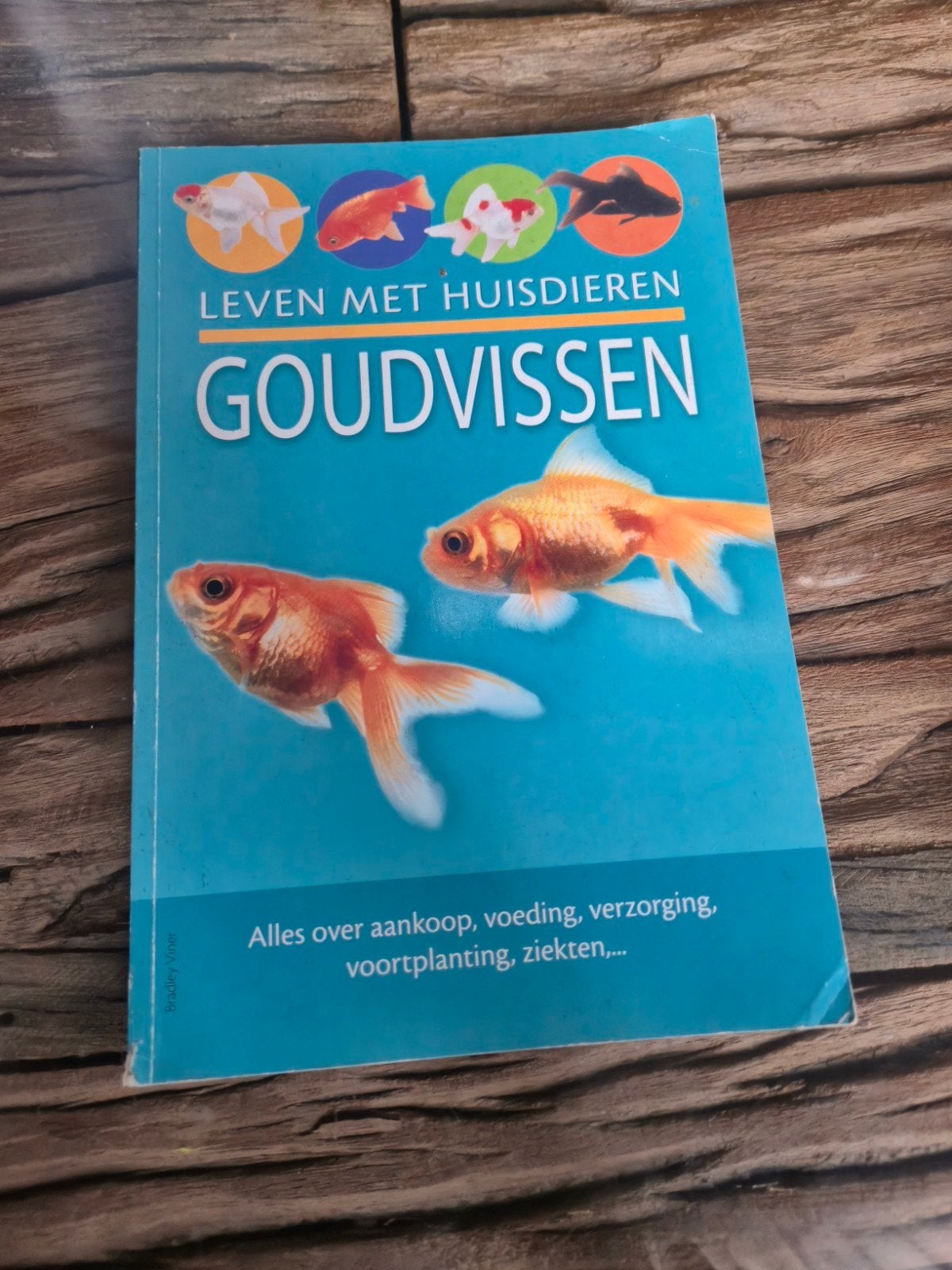 Leven met Huisdieren: Goudvissen - Alles over Goudvissen, Boeken, Ophalen of Verzenden, Gelezen, Vissen, Onbekend