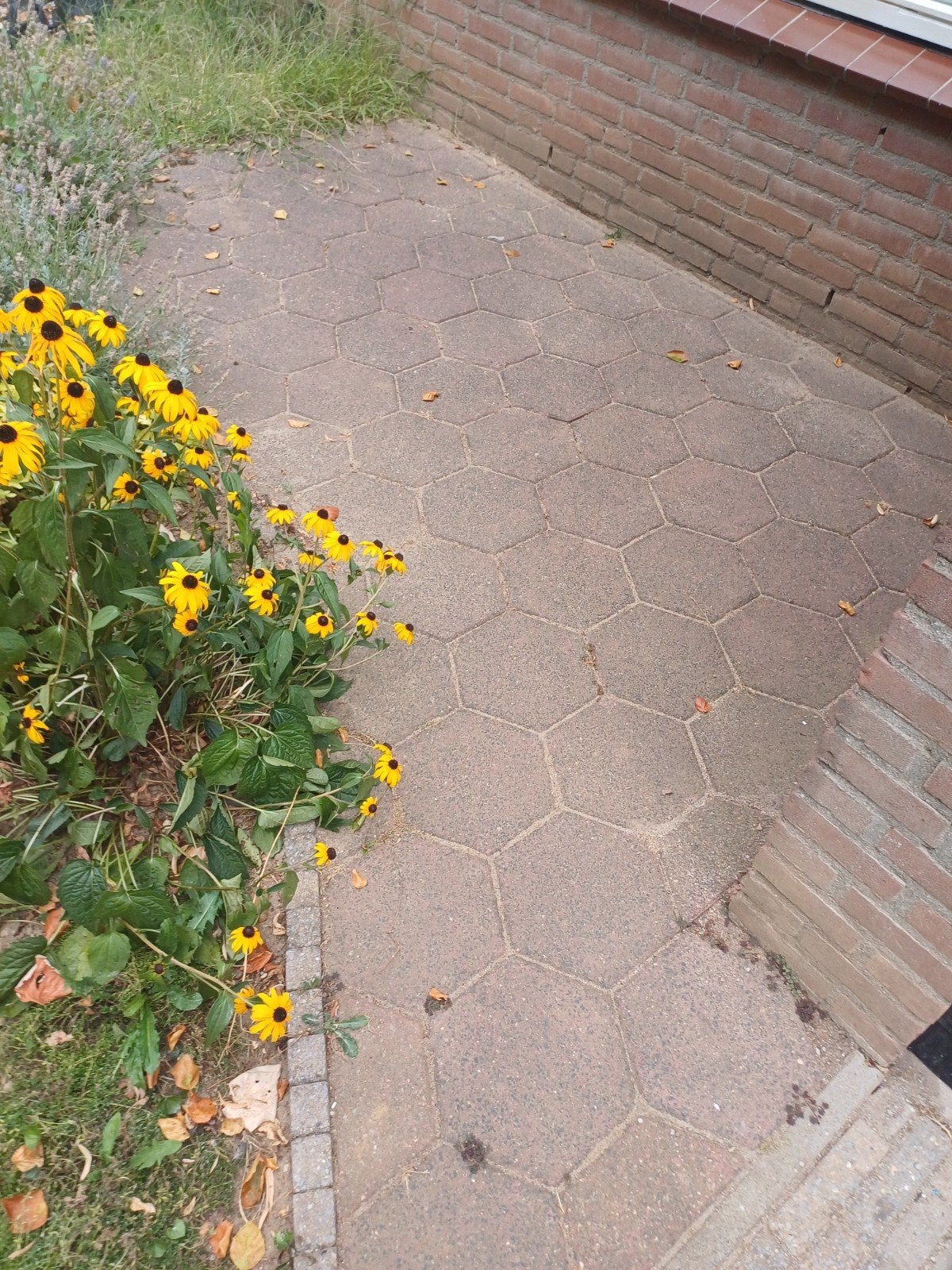 Betonnen hexagon stoeptegels rood/ bruin - ca. 4,5 m², Ophalen, Gebruikt, Minder dan 5 m², Beton