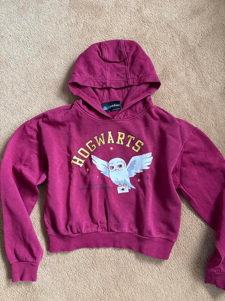 Harry Potter Hogwarts Hoody Maat 134/140, Ophalen of Verzenden, Gebruikt, Meisje, Trui of Vest