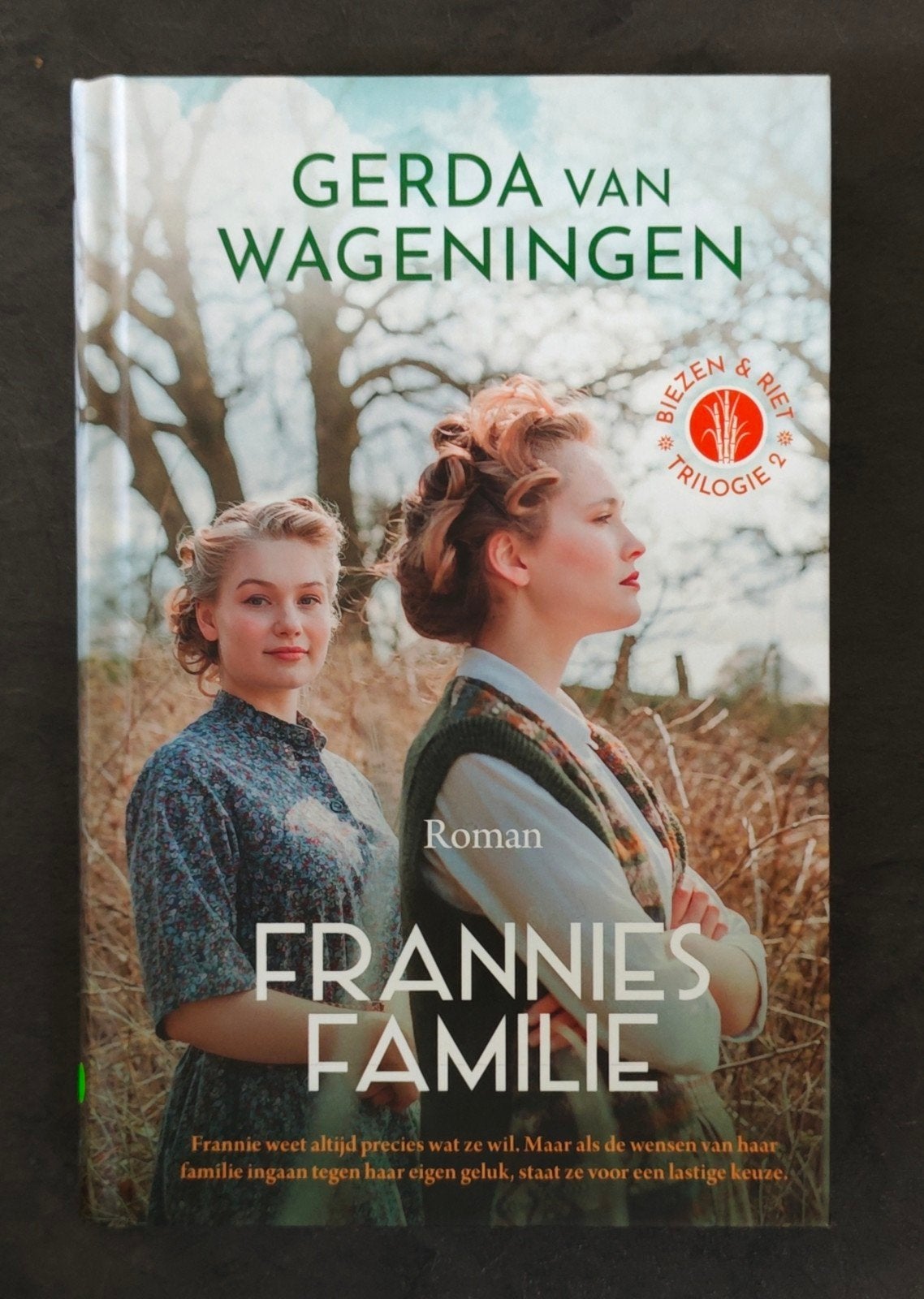 Gerda van Wageningen - Frannies familie, Boeken, Gerda van Wageningen, Noord-Brabant, Ophalen of Verzenden, Zo goed als nieuw