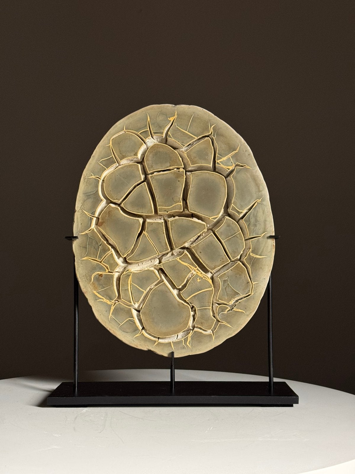 Septarian Nodule op custom standaard, Verzamelen, Ophalen of Verzenden, Fossiel