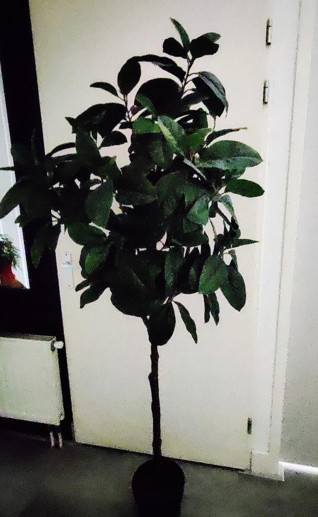 IKEA Kunstplant 180 cm - Zo goed als nieuw, Ophalen, Binnen, Groen, Onderhoudsvrij
