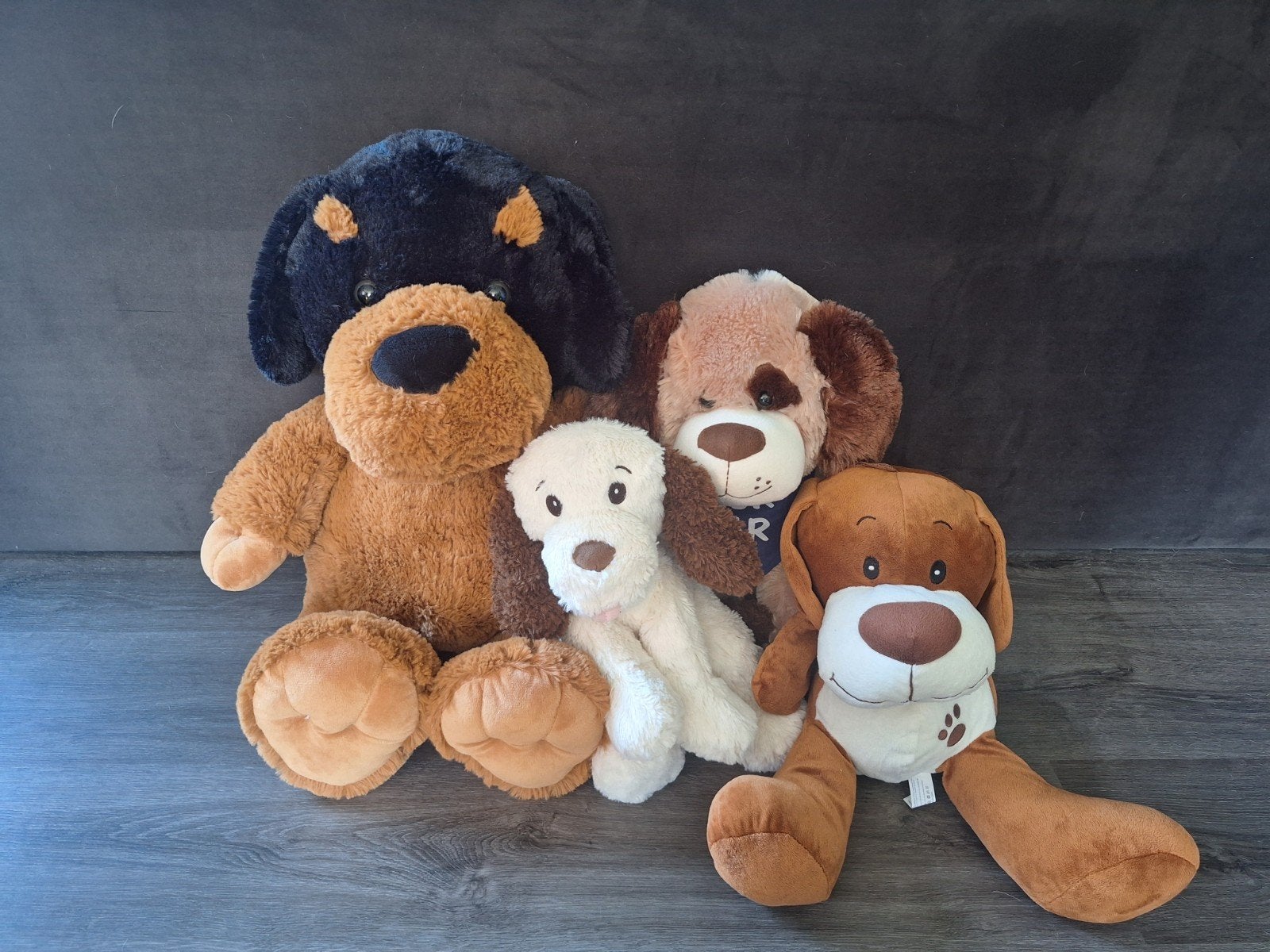Knuffelset met 4 grote lieve honden - als nieuw, Zo goed als nieuw, Middelgroot (20 tot 80 cm), Meerkleurig, Hond
