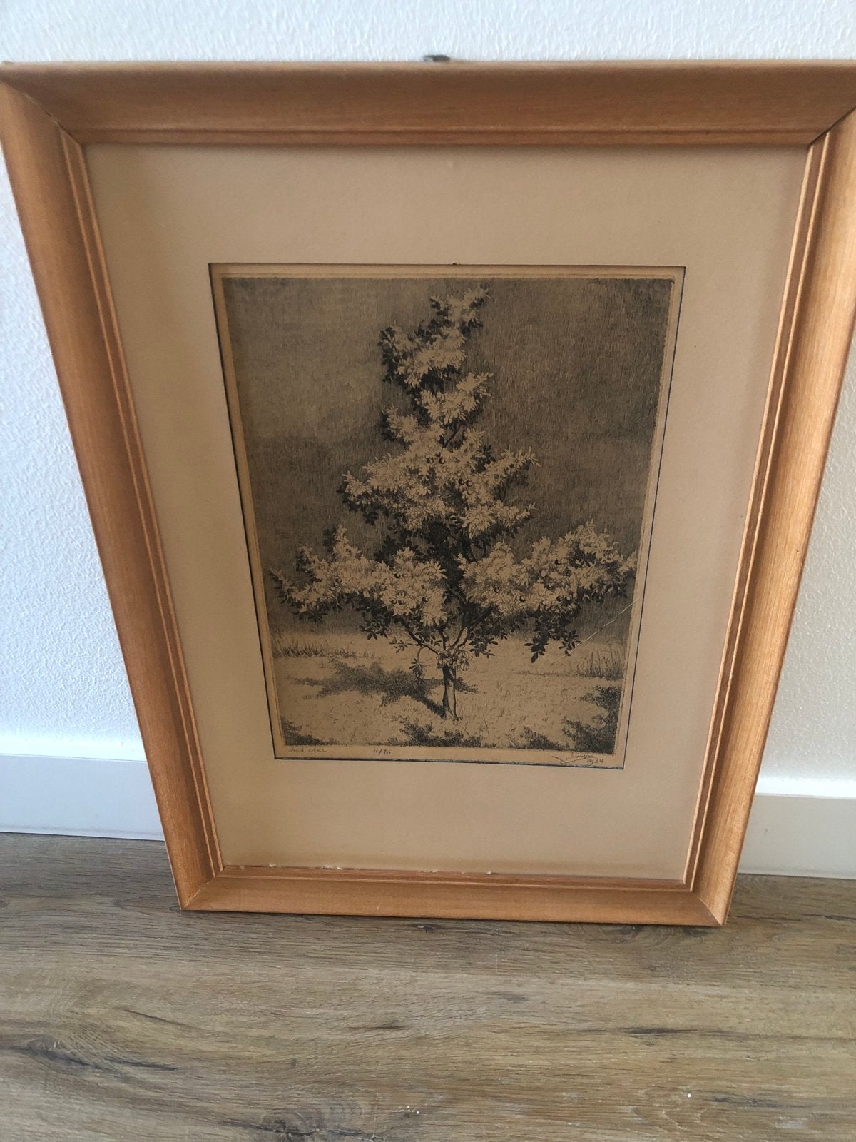 Ets Albert Servaes ? Bloeiende Boom, gedateerd 1934, Ophalen, Flora en Fauna, 1900 - 1949, Genummerd
