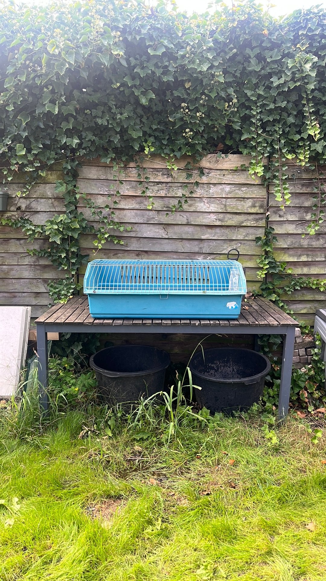 Kooi voor Cavia’s, Kooi, Zo goed als nieuw, Cavia, Ophalen