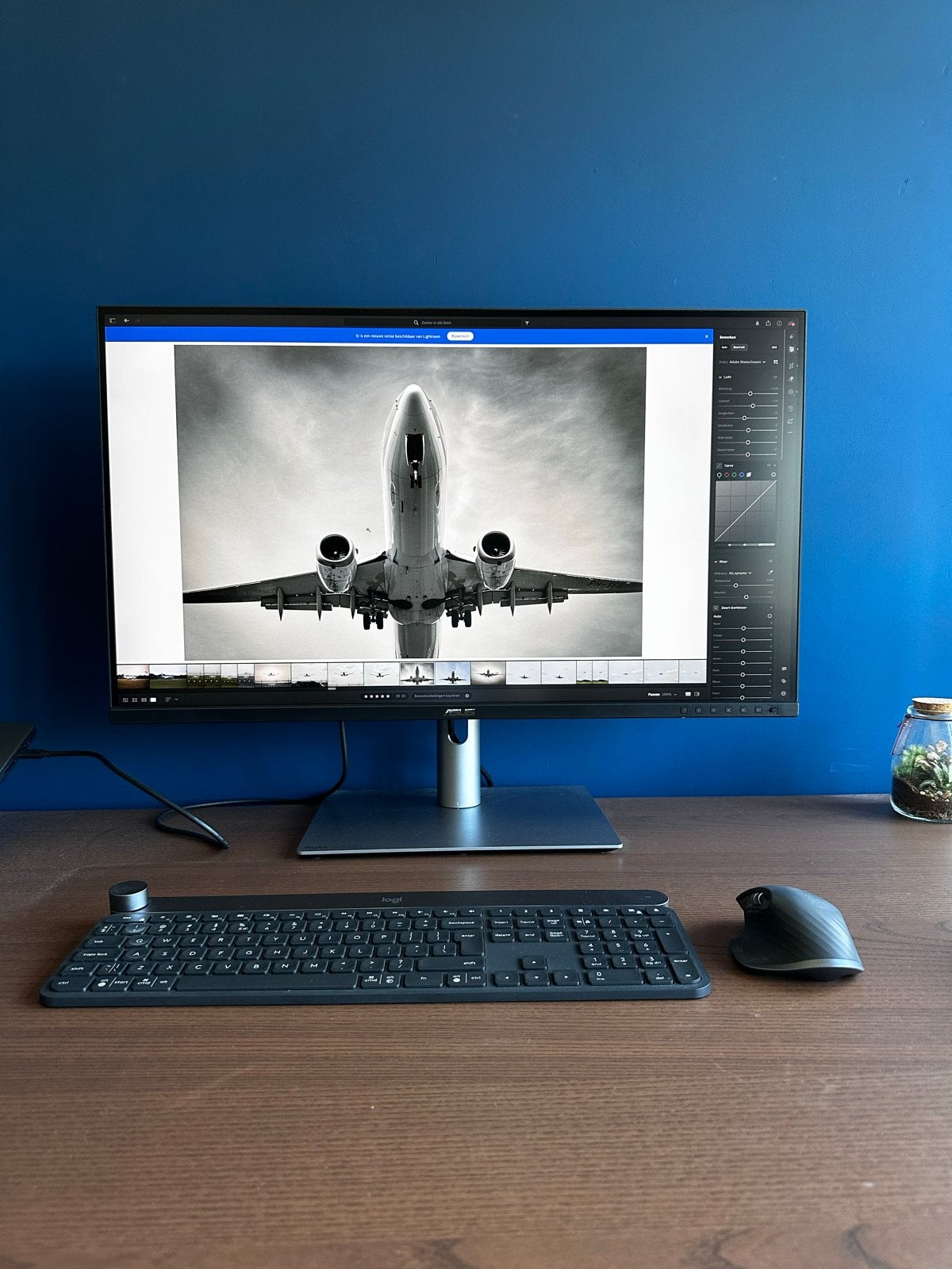 ASUS ProArt PA329CRV 32-inch 4K HDR Monitor, Ophalen, IPS, In hoogte verstelbaar, HDMI