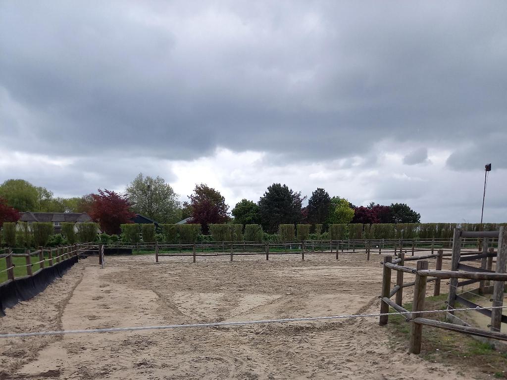 paarden pensionstalling met weidegang, Weidegang, 2 of 3 paarden of pony's