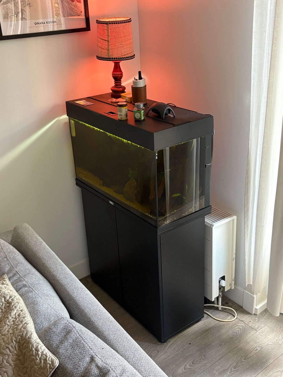 Compleet 140L Aquarium incl. JBL Externe Filter en Kast, Dieren en Toebehoren, Vissen | Aquaria en Toebehoren, Zo goed als nieuw