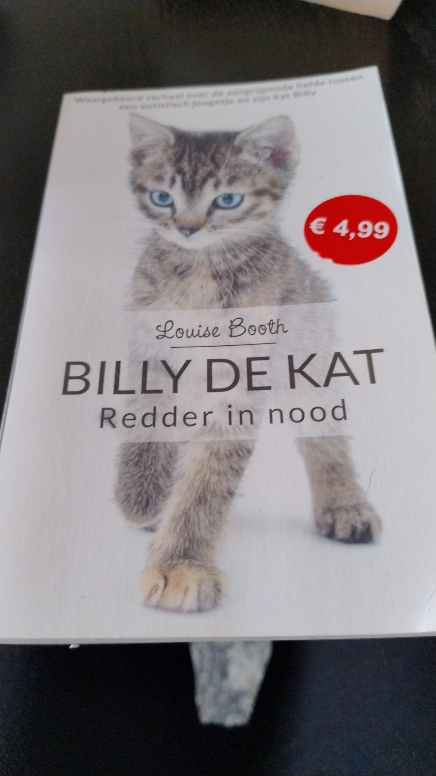 Billy de Kat: Redder in nood - Louise Booth, Ophalen of Verzenden, Gelezen, Louise Booth, Nederland
