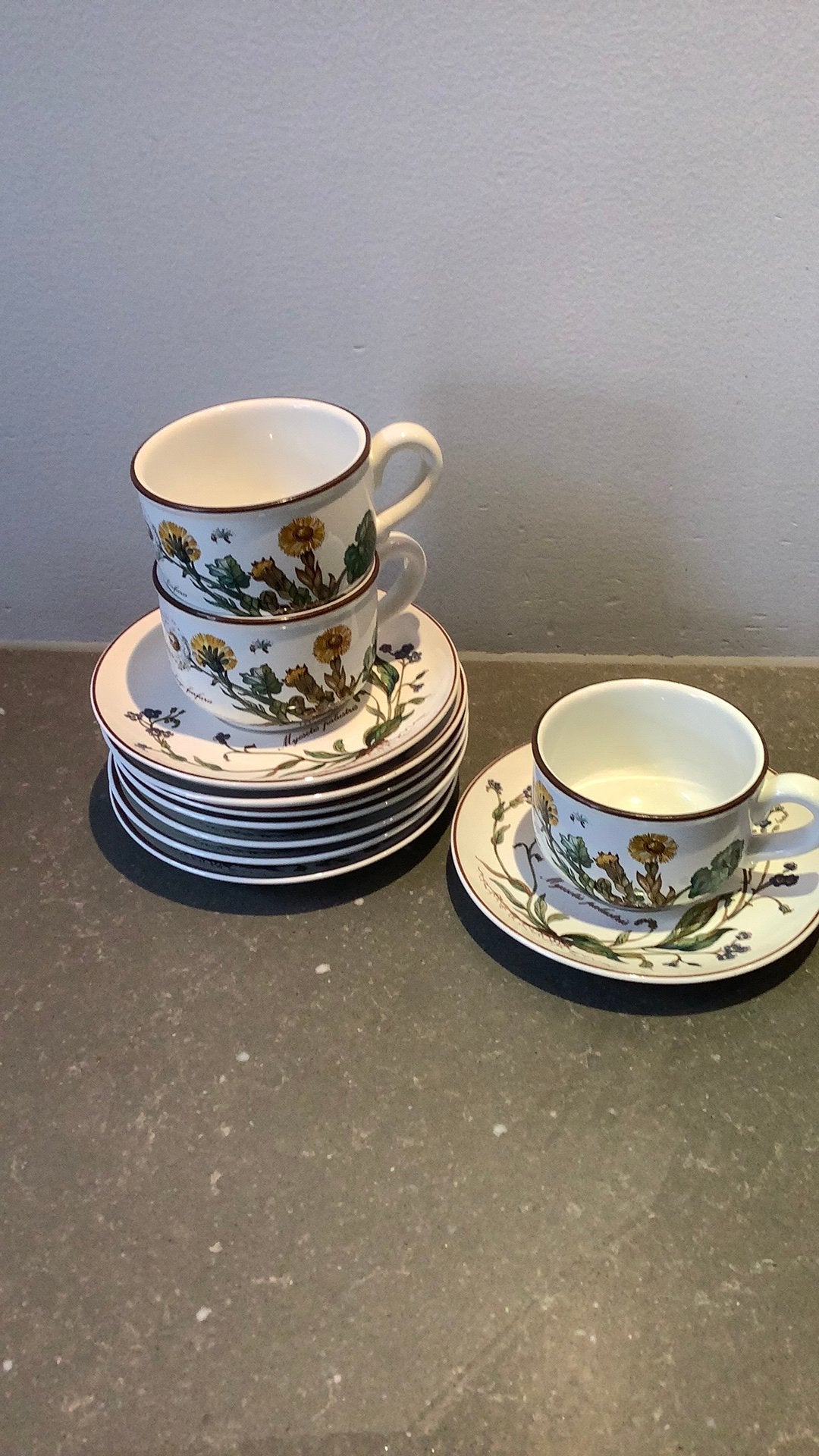 Villeroy en Boch kop en schotels Botanica, Huis en Inrichting, Keramiek, Villeroy & Boch, Vintage, Ophalen of Verzenden