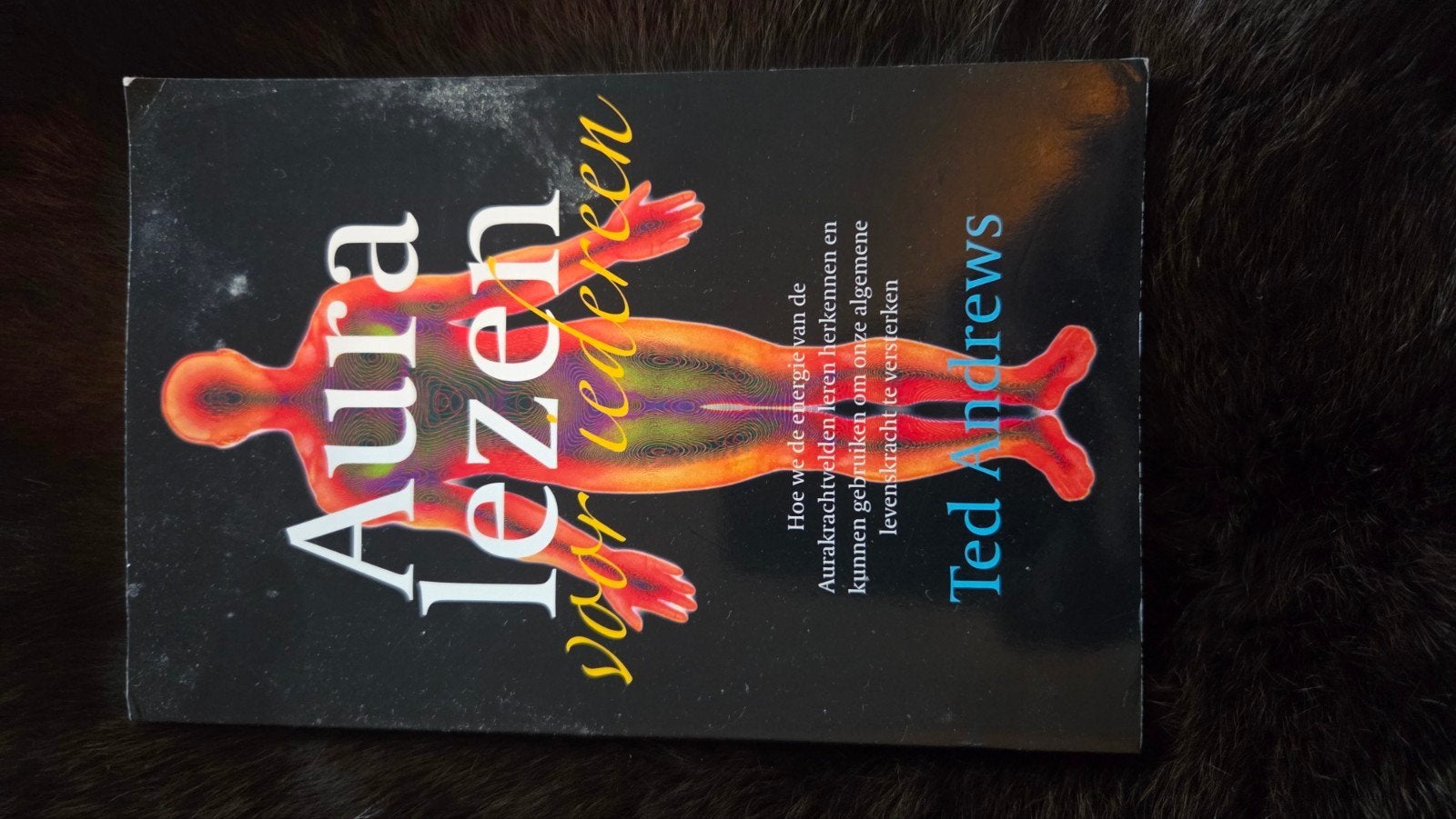 Aura lezen voor iedereen - Ted Andrews, Boeken, Esoterie en Spiritualiteit, Gelezen, Spiritualiteit algemeen, Ted Andrews, Ophalen of Verzenden