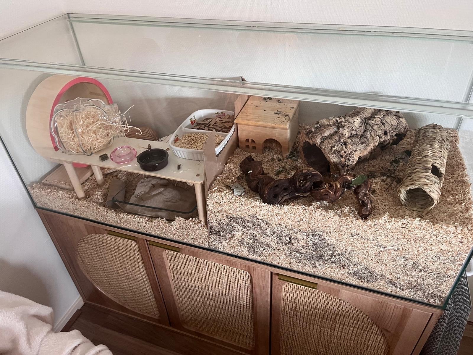 Hamsterscaping aquarium, Ophalen, Zo goed als nieuw, Overige typen