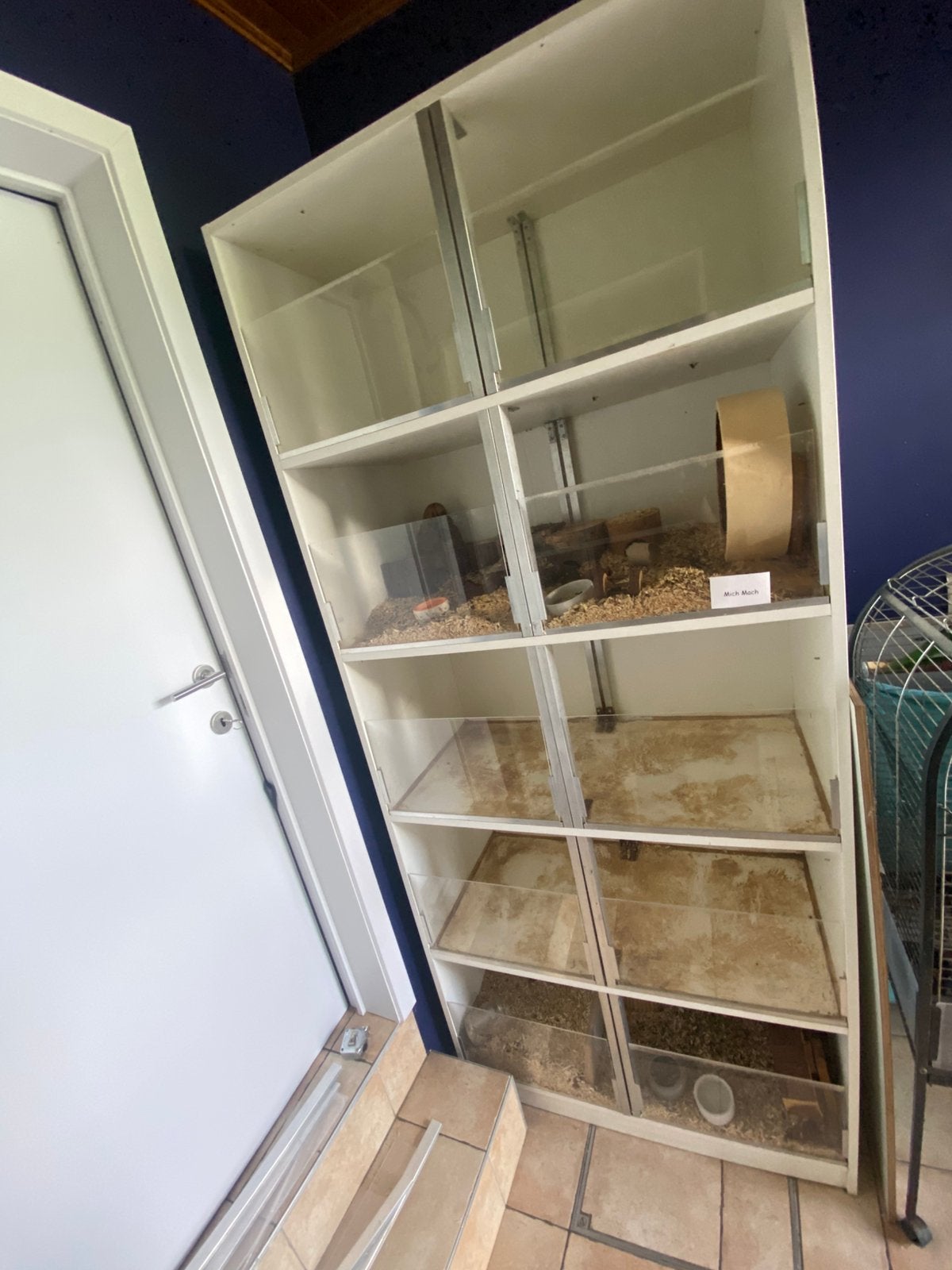 Stevige Caviaflat met plexis, Dieren en Toebehoren, Ophalen, Zo goed als nieuw, Kooi, Minder dan 60 cm