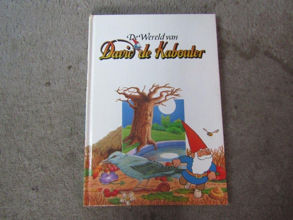 Boek: De wereld van David de Kabouter, Boeken, Ophalen of Verzenden, Gelezen, Hanny Mensing