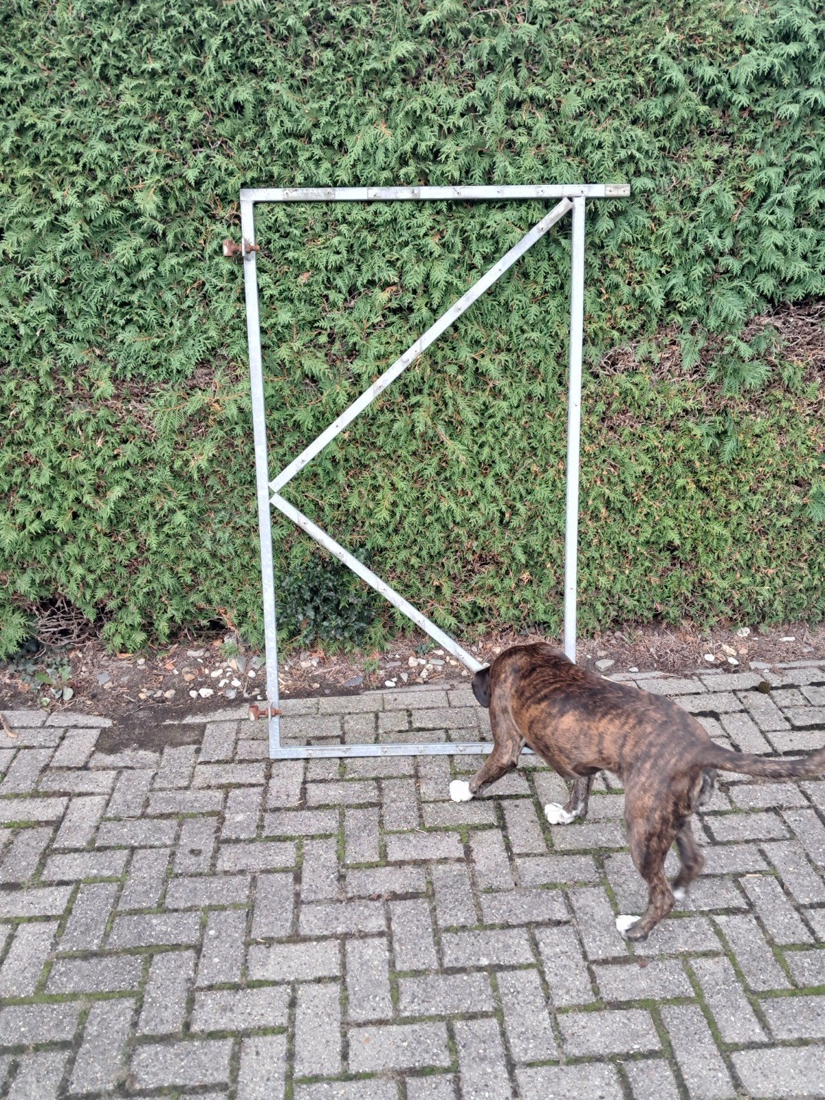 Schuttingdeur frame gegalvaniseerd 100cm breed, Ophalen, Met poort, Gebruikt, Tuinhek