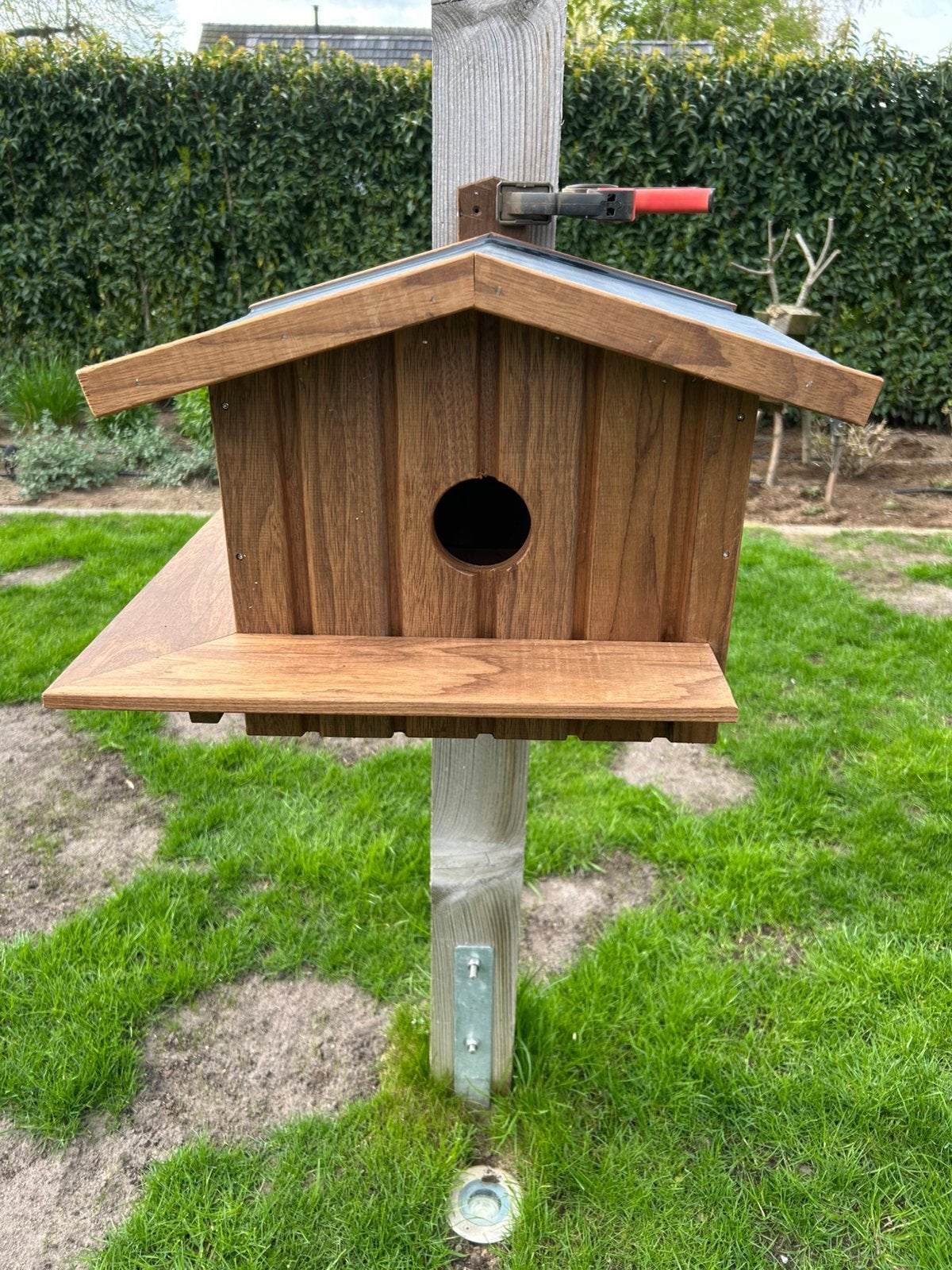 Eekhoorn nestkast, Ophalen of Verzenden, Nieuw