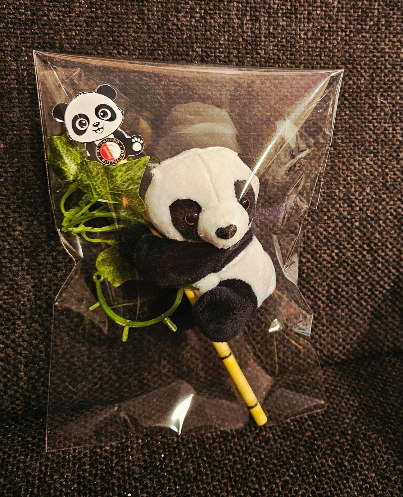 Pandabeer pakket - Knuffel met Feyenoord speldje, Kinderen en Baby's, Speelgoed | Knuffels en Pluche, Overige merken, Overige karakters