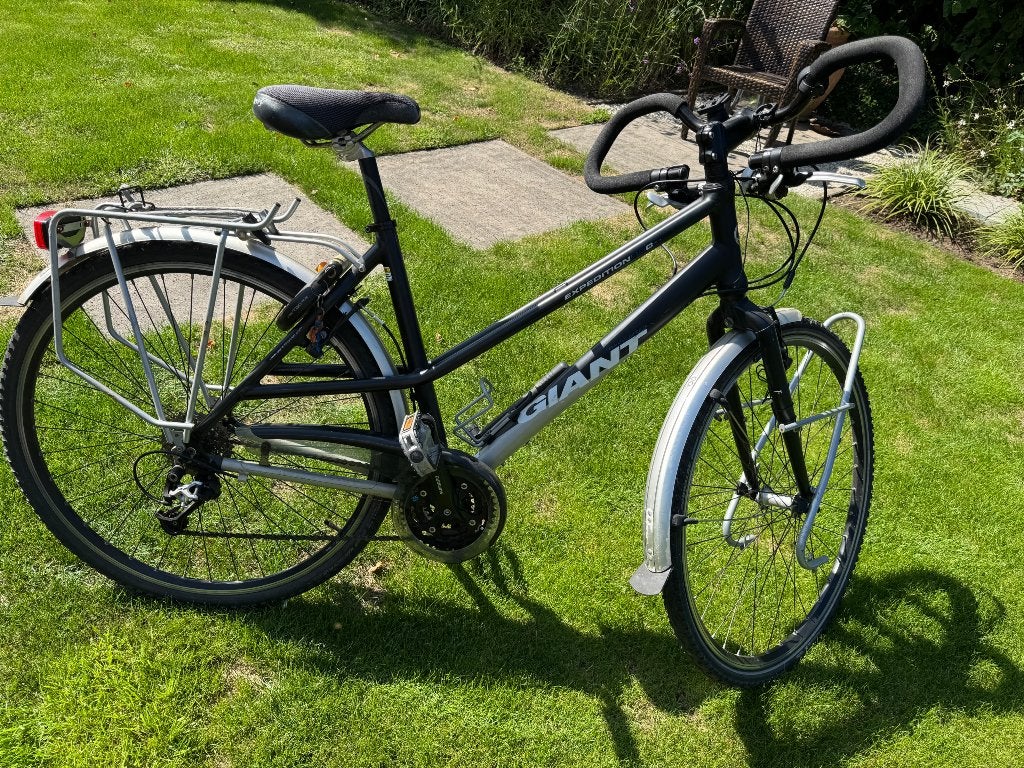 Giant sportieve damesfietsiets lichtgewicht, 28 inch, Gebruikt, Velgrem, Ophalen