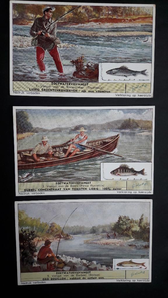 3 compl. sets chromo lithos, Liebig, S 1623, S 1559, S 1676, Verzamelen, Ophalen of Verzenden, 1940 tot 1960, Ongelopen, Vlaams-Brabant