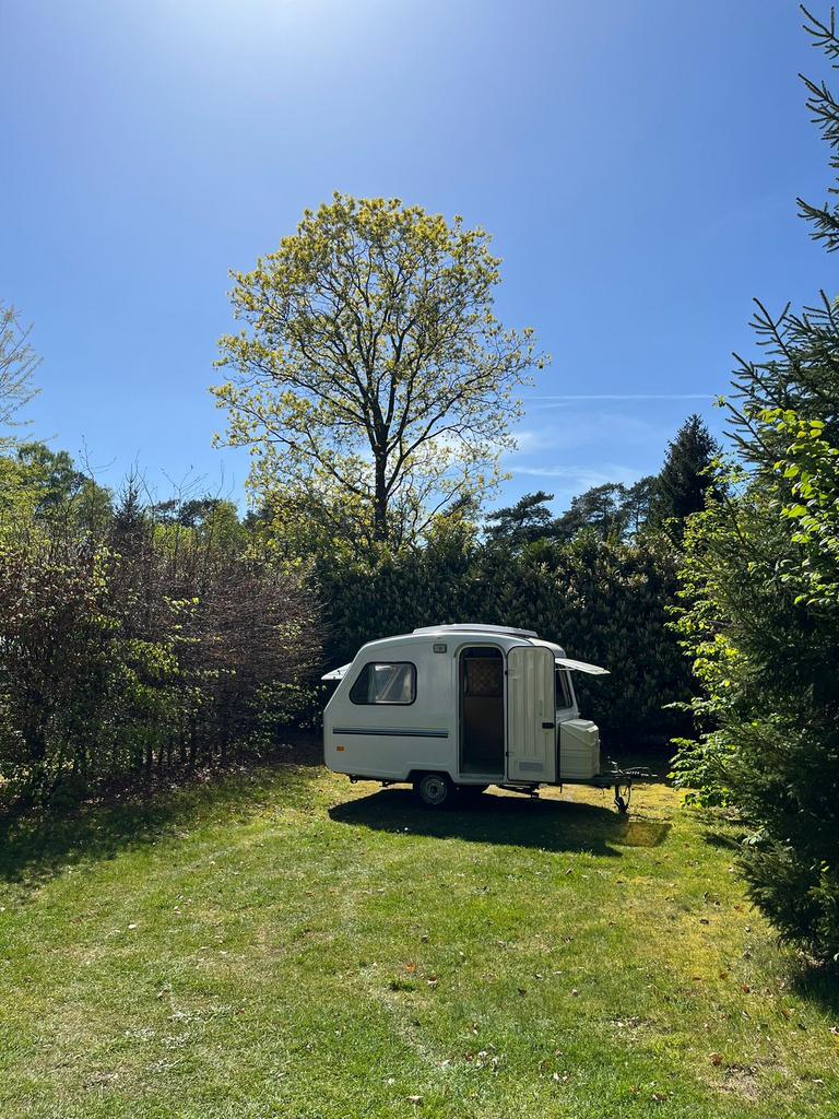 Mooie Predom Caravan * Laatste kans!!, Caravans en Kamperen, Caravans, Rondzit, Koelkast, Particulier, Predom