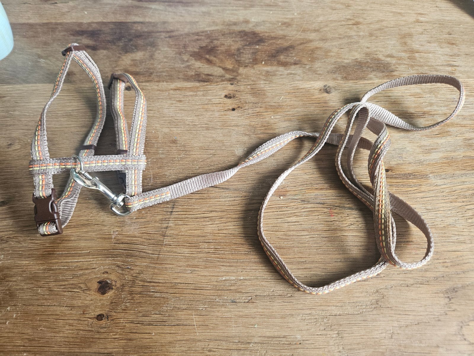 Kattentuigje en halsband, Ophalen of Verzenden