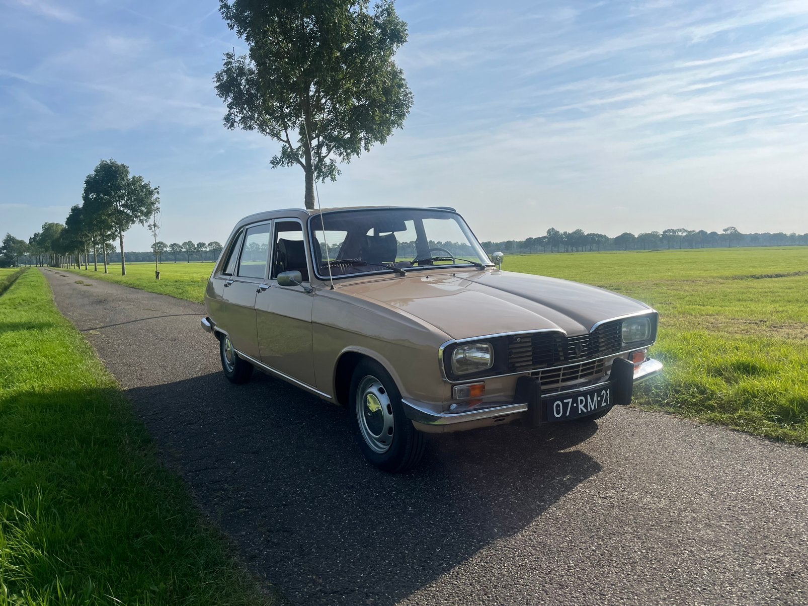 Oldtimer Renault 16 1.6 TL 1977 Beige (TX motor, 5bak), foto 2