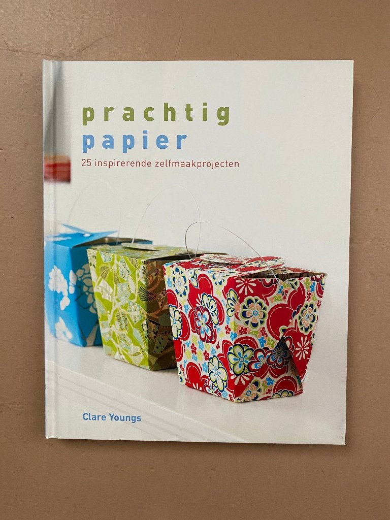 Prachtig papier - 25 inspirerende zelfmaakprojecten, Ophalen of Verzenden, Zo goed als nieuw, Overige onderwerpen