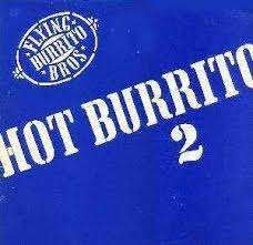 The Flying Burrito Bros. - HOT BURRITO II @1975, LP, Gebruikt, Pop, Ophalen of Verzenden