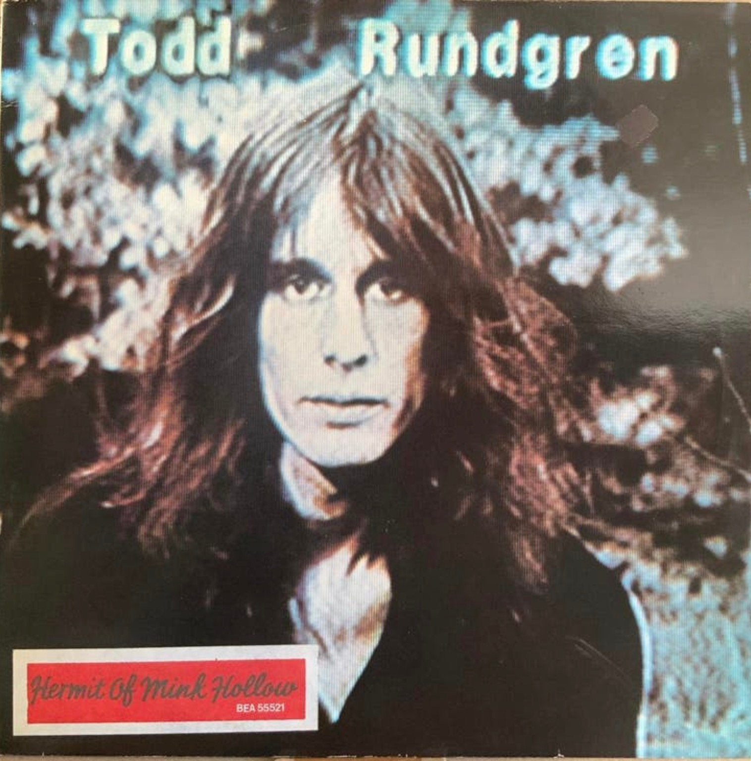 Vinyl Todd Rundgren - Hermit of Mink Hollow, Cd's en Dvd's, Vinyl | Rock, Verzenden, Gebruikt