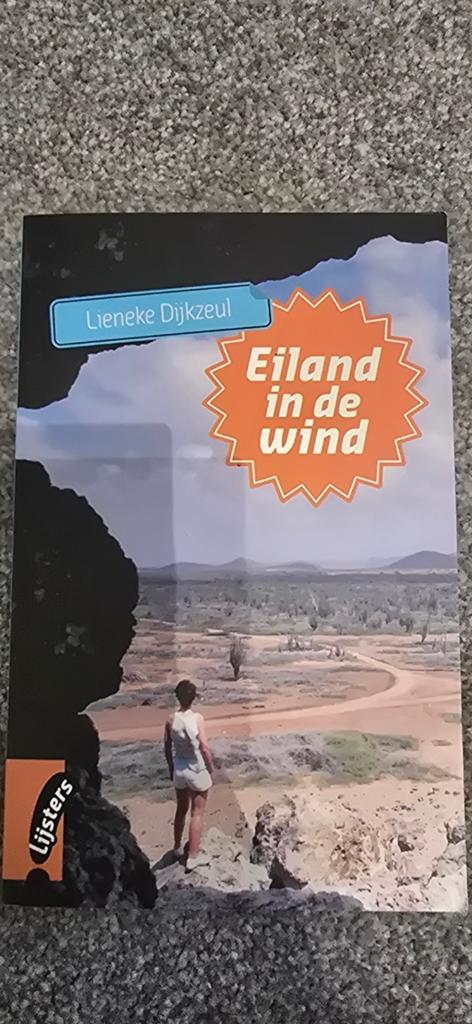 Eiland in de wind - L. Dijkzeul (Jeugdboek), Verzenden, Zo goed als nieuw, Lieneke Dijkzeul, Fictie