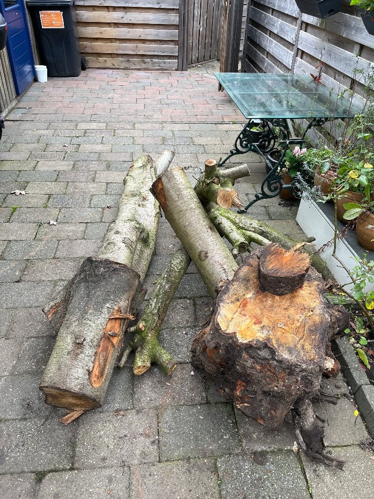 Open haard hout gratis, Minder dan 3 m³, Ophalen, Overige houtsoorten, Stammen