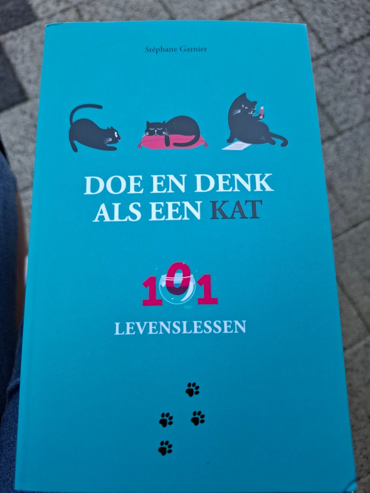 Doe en denk als een kat - 101 levenslessen, Boeken, Stéphane Garnier, Ophalen of Verzenden, Ontwikkelingspsychologie, Zo goed als nieuw