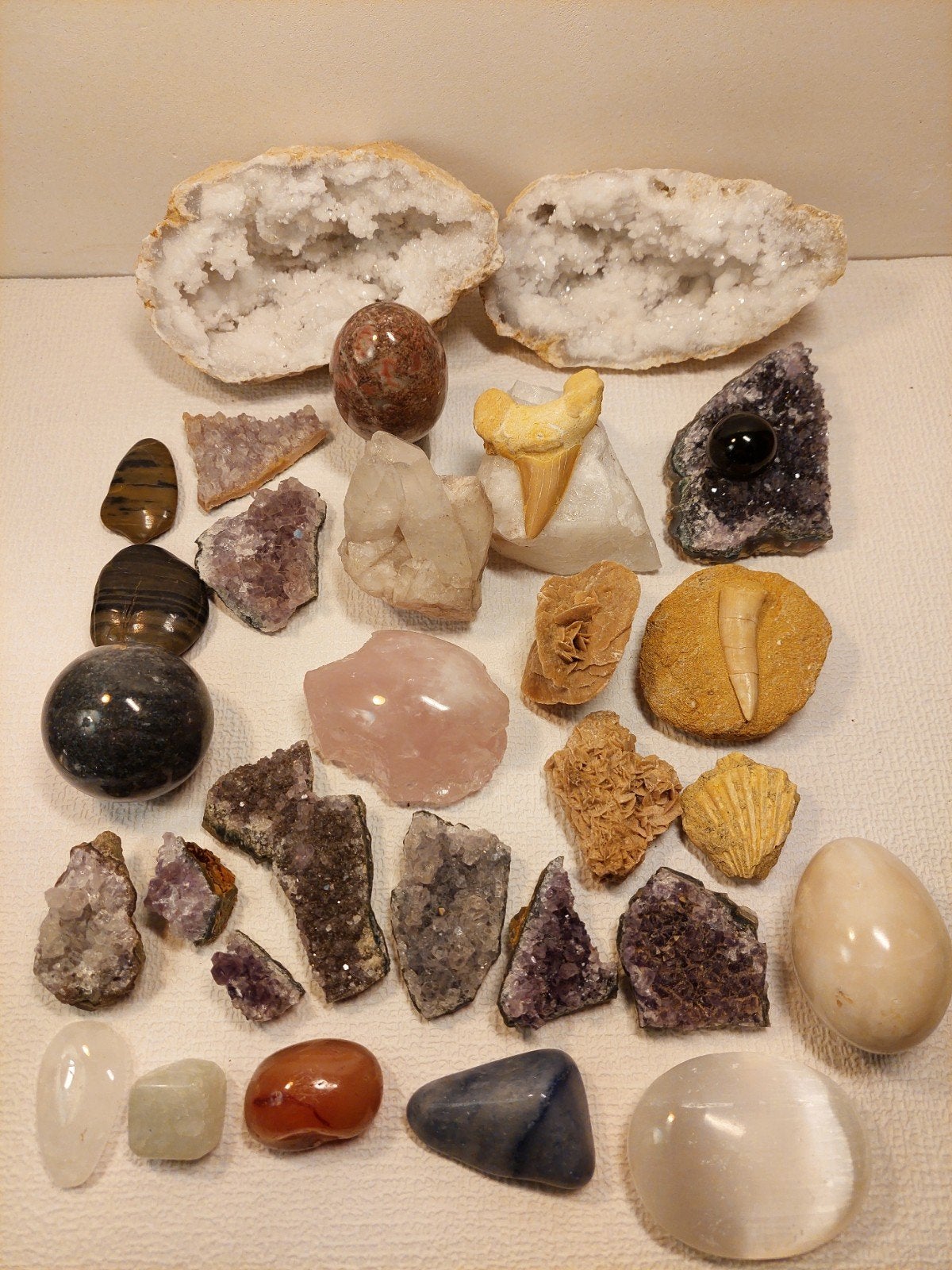 Mooie mineralen en fossielen verzameling, Ophalen, Fossiel
