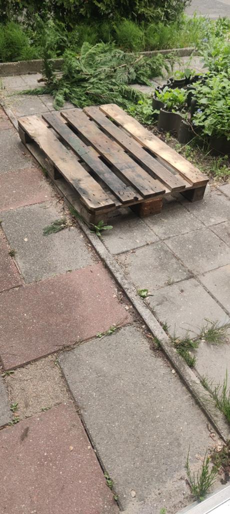 Gratis pallet af te halen, Ophalen