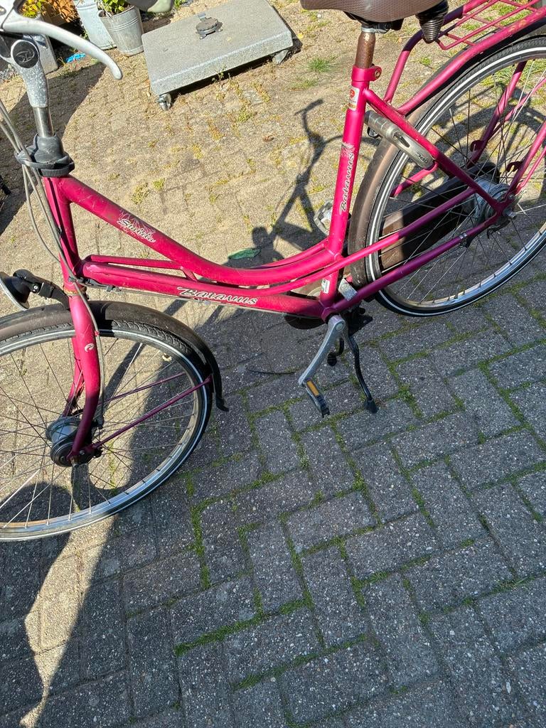 Batavus Nexus 7 Rollerbrake Damesfiets 28 inch, Fietsen en Brommers, Fietsen | Dames | Damesfietsen, Versnellingen, Batavus, Ophalen of Verzenden