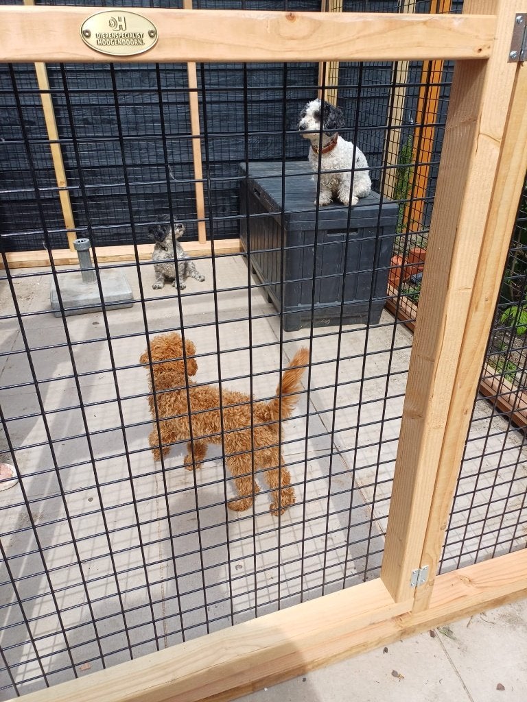 Kattenren Douglas | Maatwerk | Duurzame materialen, Ophalen of Verzenden, Nieuw