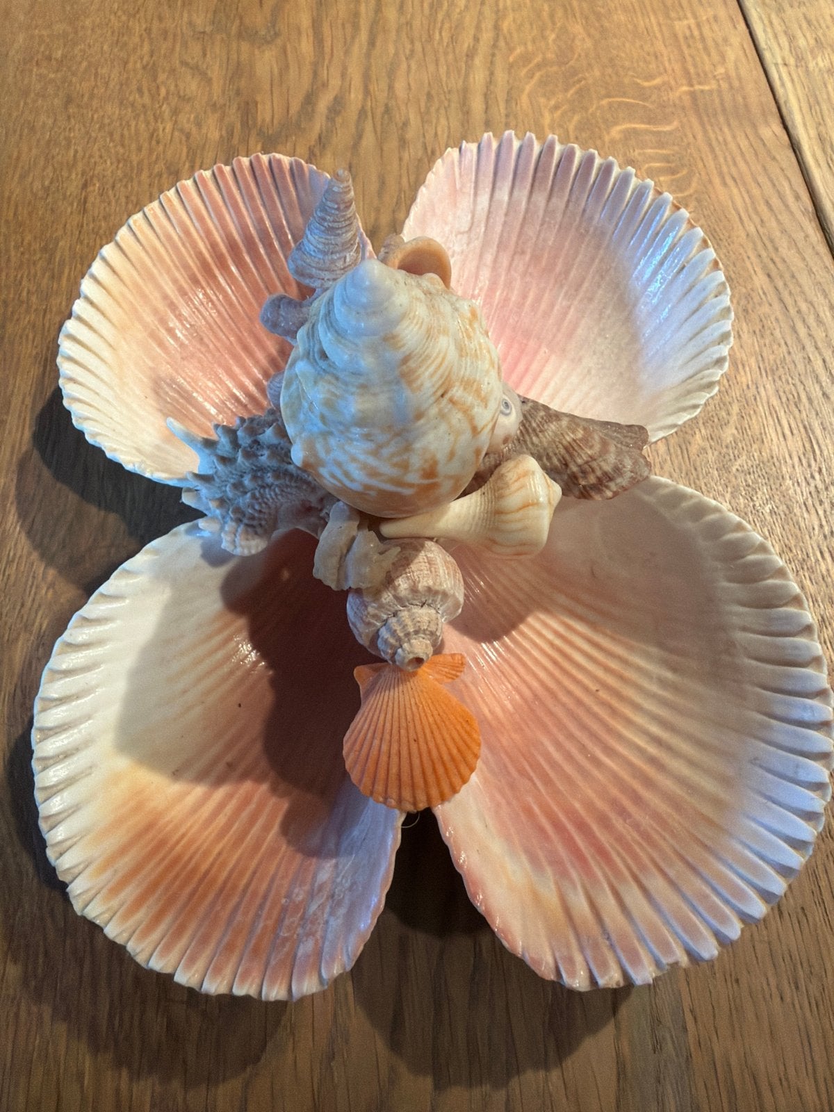 Decoratief schaaltje van schelpen, Gebruikt, Meerkleurig, Overige stijlen, Ophalen of Verzenden
