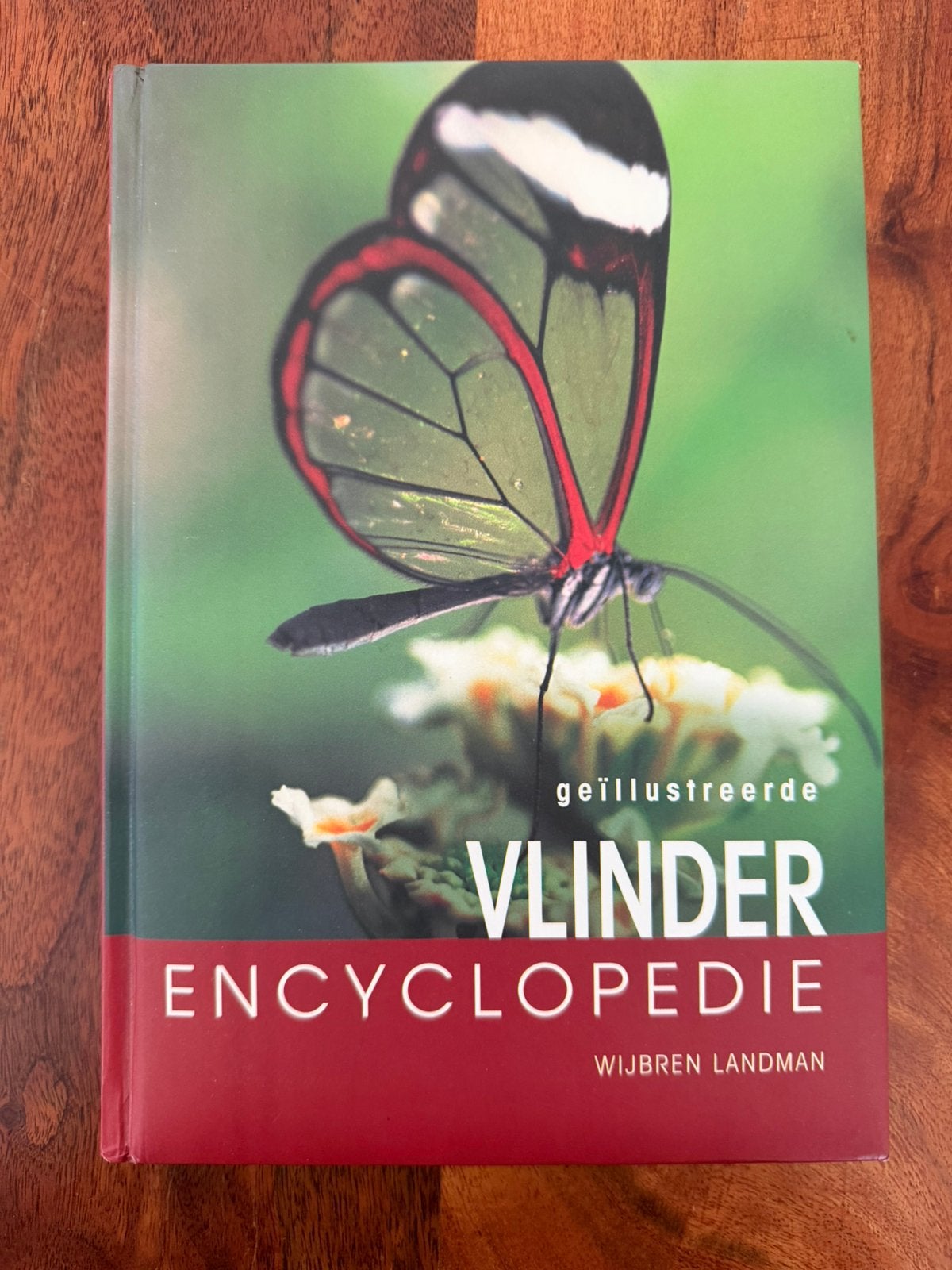 Vlinder Encyclopedie, Ophalen of Verzenden, Zo goed als nieuw, Dieren