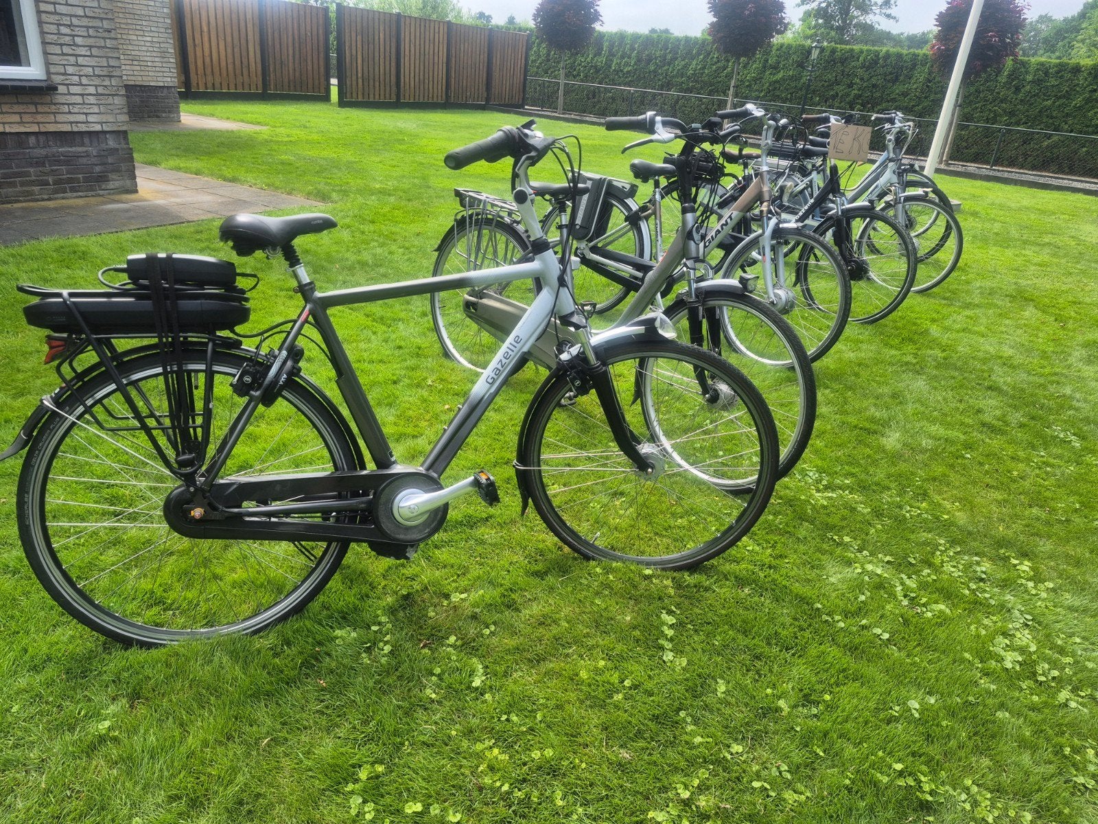 Diverse e-bikes: Gazelle & Giant dames/heren, Ophalen of Verzenden, Gebruikt