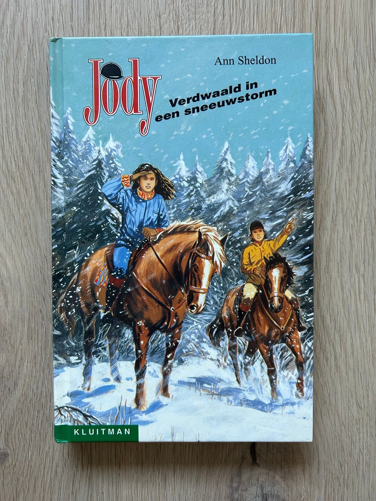 Jody, verdwaald in een sneeuwstorm - Ann Sheldon, Boeken, Ophalen of Verzenden, Gelezen, Fictie algemeen